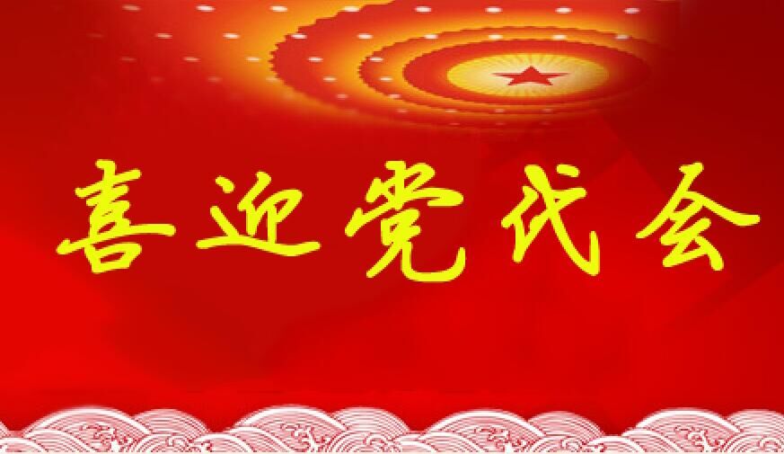 中国共产党安阳市第十一届委员会常务委员会委员当选名单