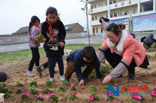 小学生学习种植花草 美化校园环境