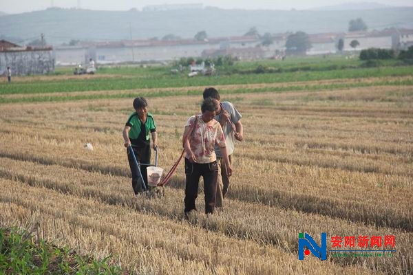 林州合涧镇小屯村人口有多少_林州科目三小屯平面图