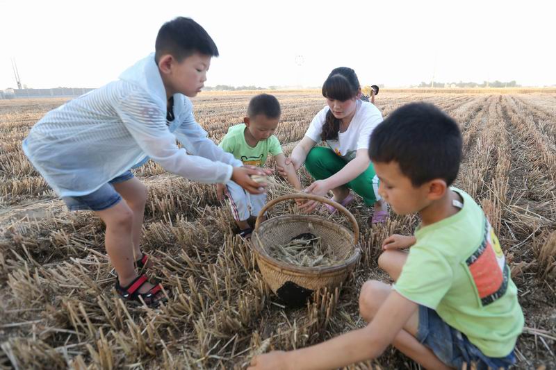 麦枣村人口_小儿麦枣咀嚼片图片