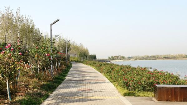 【行走大运河】生态治理还焦作大沙河水清岸绿